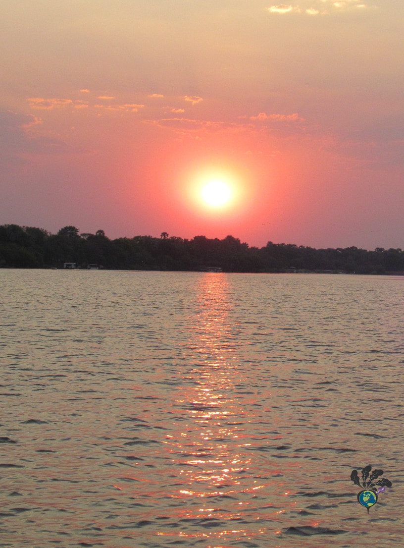 Sunset river cruise on the Zambezi River in Victoria Falls Zimbabwe: Pink setting sun