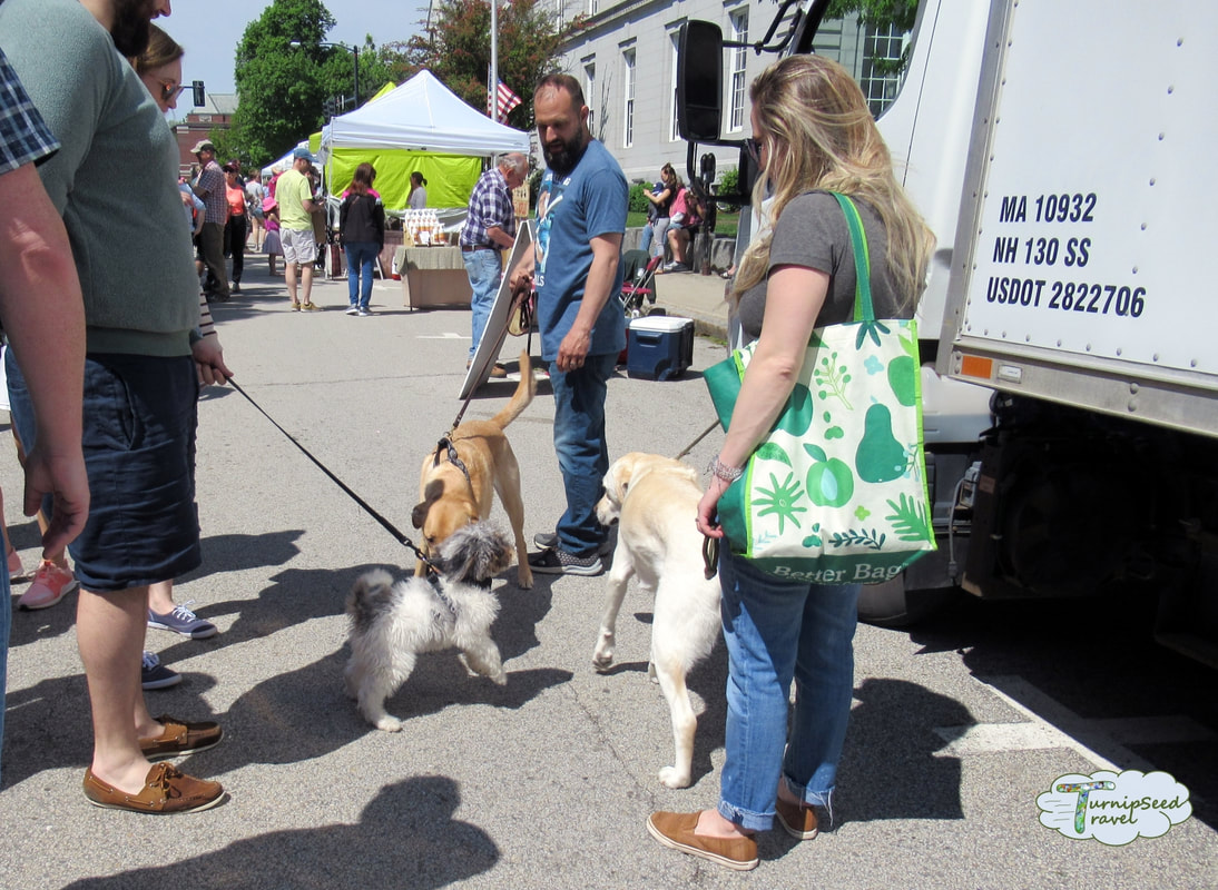 Best things to do in Concord New Hampshire on a budget Dogs at the farmers market