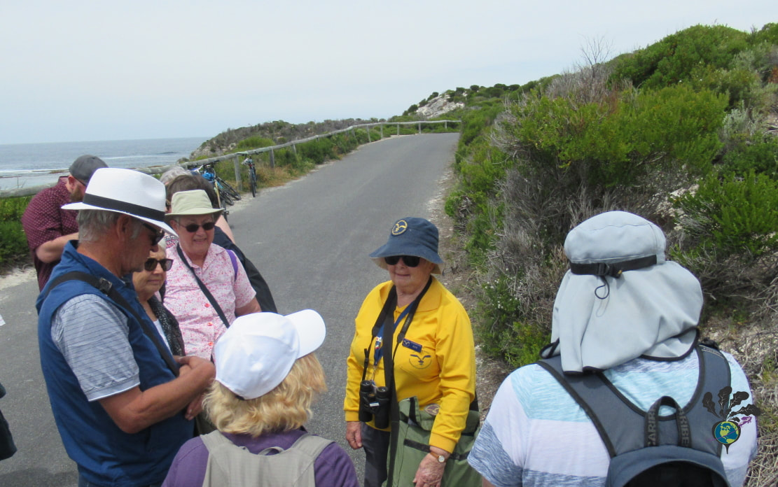 A volunteer guide in a yellow sweatshirt and blue hat talks to tourists wearing hats, sunglasses, and backpacksPicture