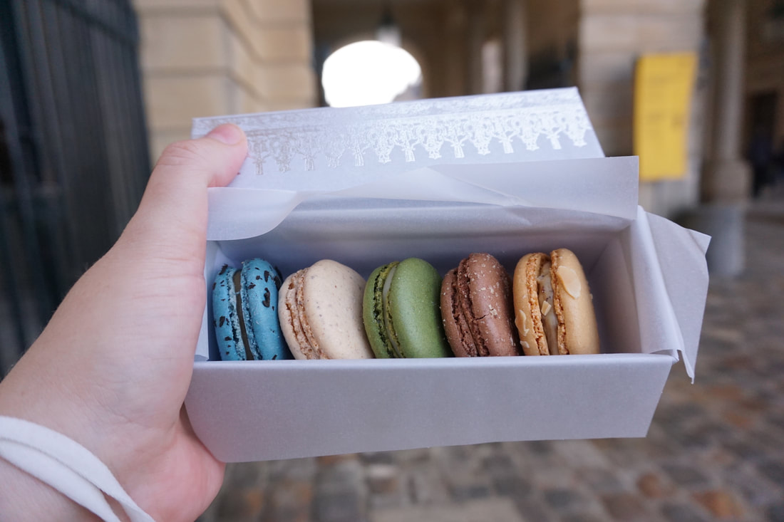 A small decorated box holding five macarons: Blue, blush pink, green, brown, and tan.