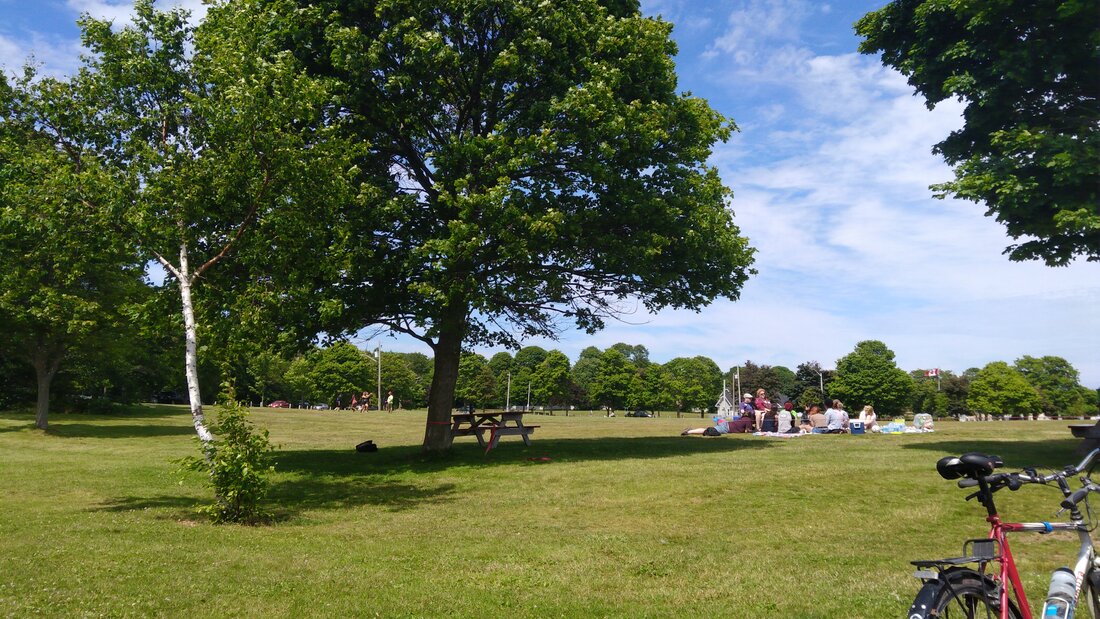 Green grass and trees at a public park, people having a group picnic in the background