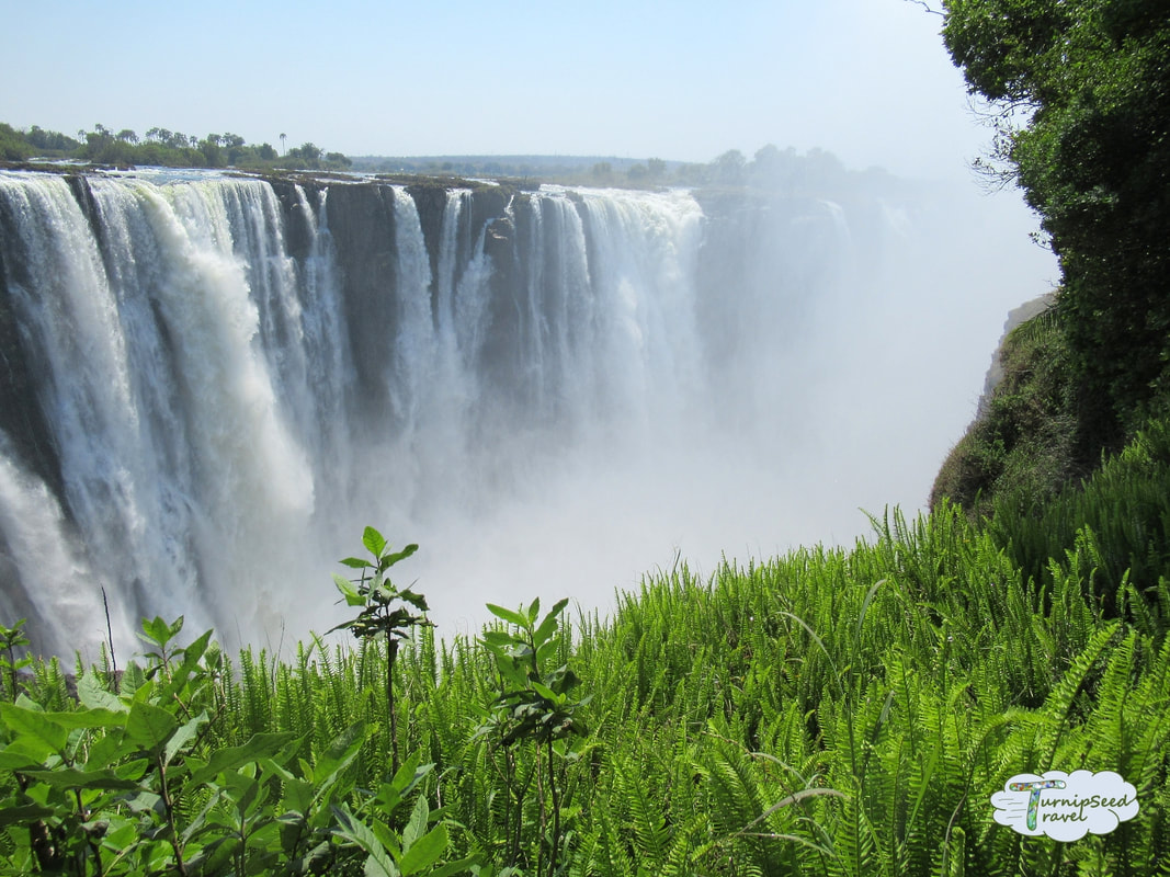 Waterfalls Victoria Falls Bridge: Crossing the Zimbabwe Zambia border