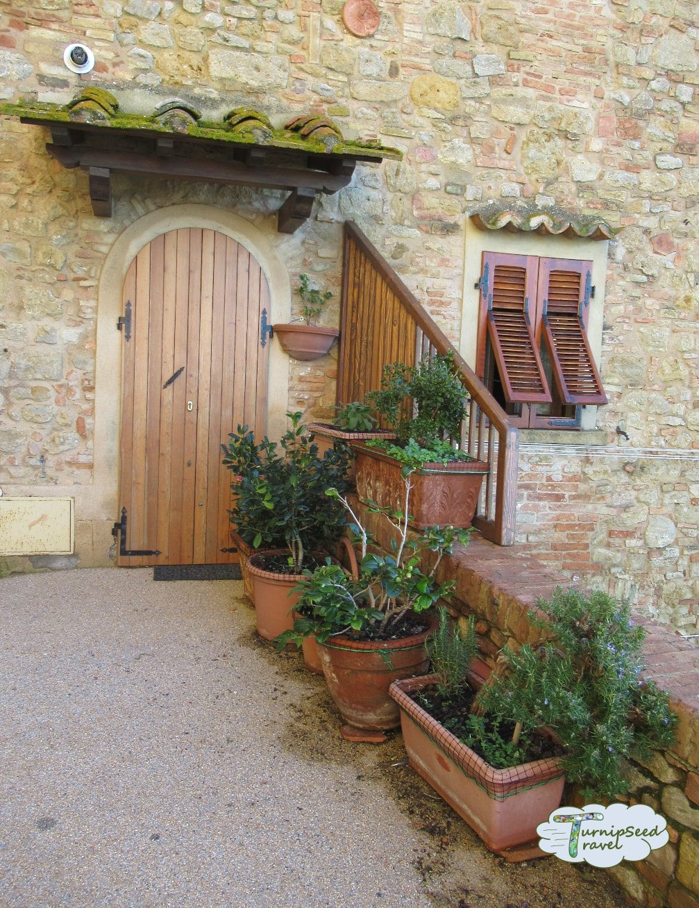 Garden flowers, plants, and colorful homes in Volterra Tuscany