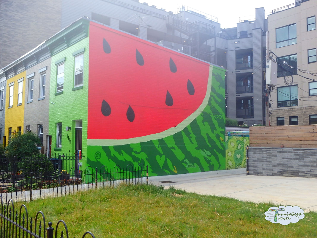 Watermelon House and Kiwi Wall Washington DC Picture
